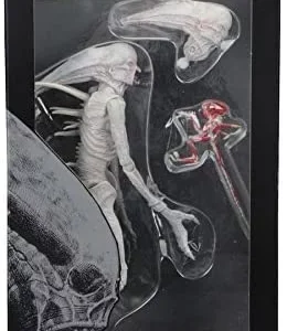 NECA Alien: Covenant –  7 – Neomorph