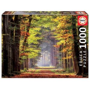 Puzzle 1000p Paseo Otoñal