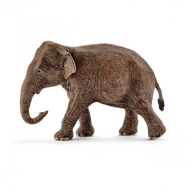 Schleich 14753 Figura Elefante Asiatico Hembra