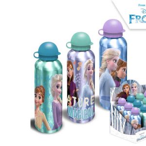 Cantimplora alum. frozen ii 500 ml.